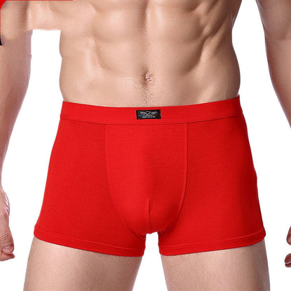 Frank – Heren Boxershorts van Bamboevezel