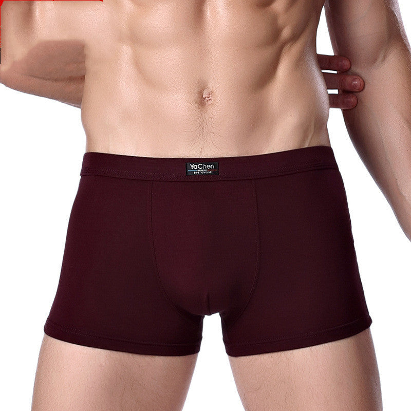Frank – Heren Boxershorts van Bamboevezel