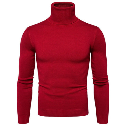 Ron – Thermo-Turtleneck Pullover voor Heren in Effen Designs