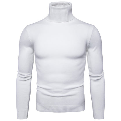 Ron – Thermo-Turtleneck Pullover voor Heren in Effen Designs